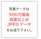 写真データは500万画素程度以上のJPEGデータをお送り下さい。